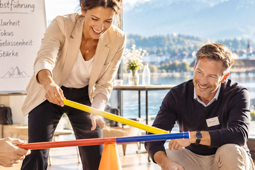 Business Coaching Schweiz - für Führungskräfte, Teams & Gruppen